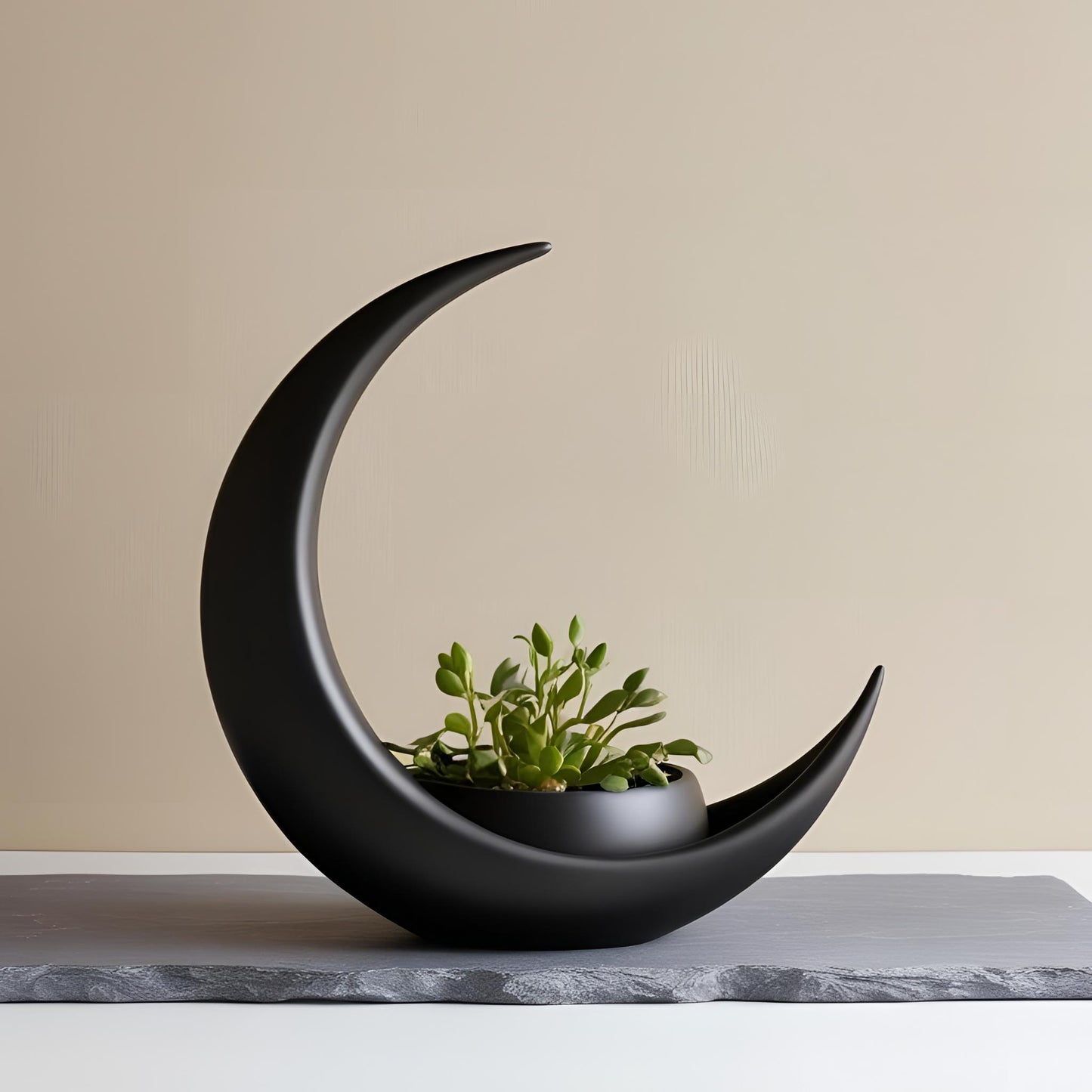 Moon Plant Holder - Elegant